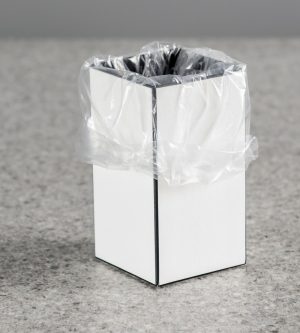 Clear Gusseted Bags (Liners)